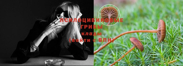 PSILOCYBIN Балахна