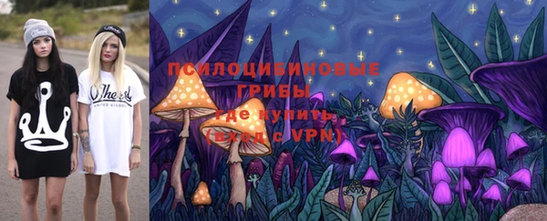 PSILOCYBIN Балахна