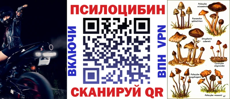Галлюциногенные грибы GOLDEN TEACHER  Пятигорск 