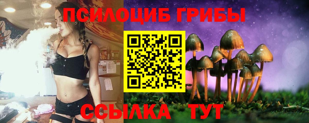 Псилоцибиновые грибы Psilocybine cubensis  Вход с VPN  Пятигорск 